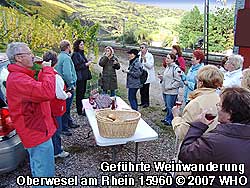 Weinwanderung, Glhweinwanderung, Weinprobe